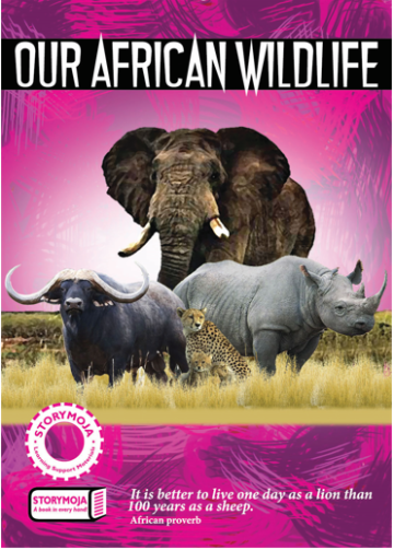 Our African Wildlife